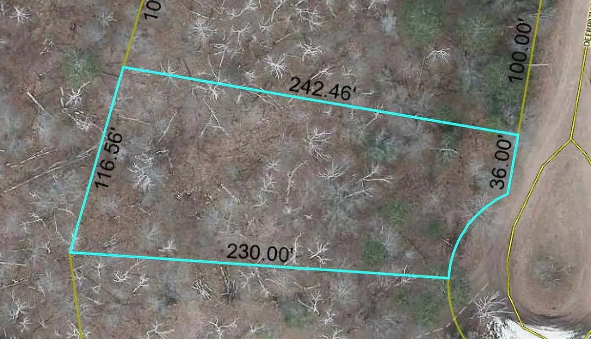 Lot 196 Deerpath PASS, Danbury, WI 54830