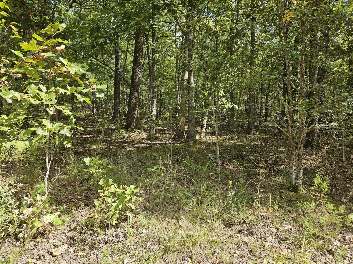000 Cedar Ridge Lane, Cape Fair, MO 65624