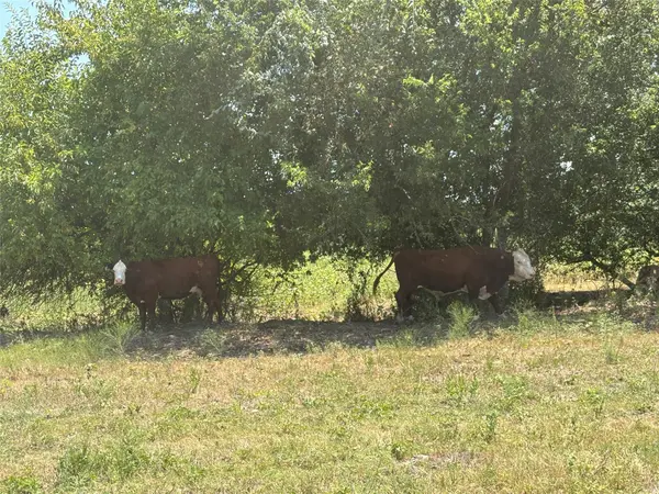 TBD 10.04 AC County Road 413, Thorndale, TX 76577