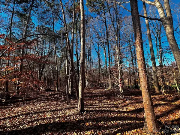 130 Copper Pine LN #1, Davidson, NC 28036