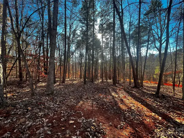 157 Copper Pine LN #7, Davidson, NC 28036