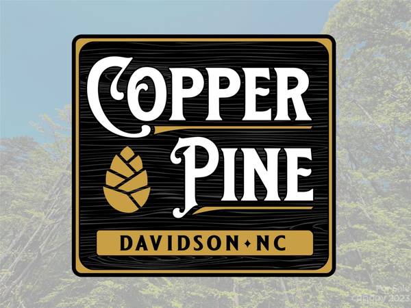 138 Copper Pine LN #2, Davidson, NC 28036