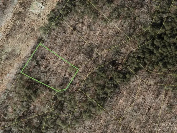 150 Copper Pine LN #4, Davidson, NC 28036