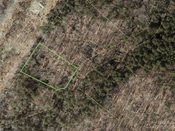 150 Copper Pine LN #4, Davidson, NC 28036