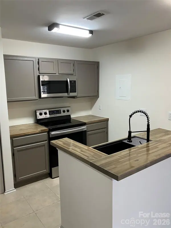 18809 Vineyard Point LN, Cornelius, NC 28031