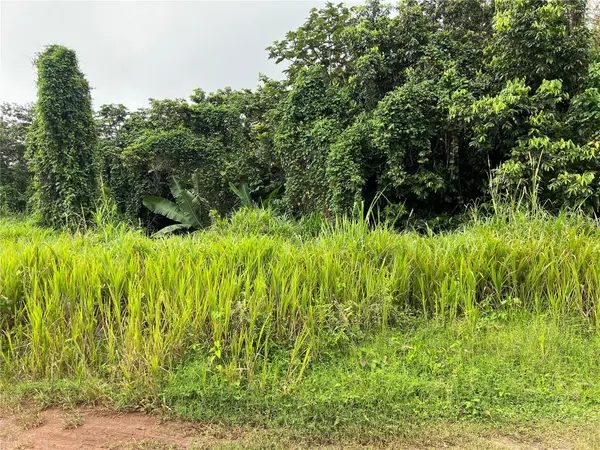 KM 0.2 INT Bo. Helechal PR 152, Barranquitas, PR 00794