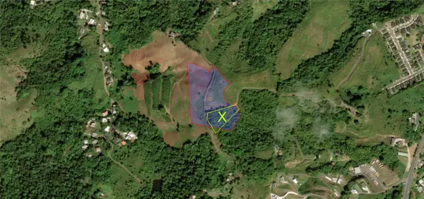 KM 0.2 INT Bo. Helechal PR 152, Barranquitas, PR 00794