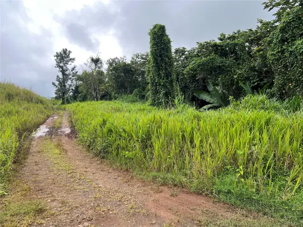 KM 0.2 INT Bo. Helechal PR 152, Barranquitas, PR 00794