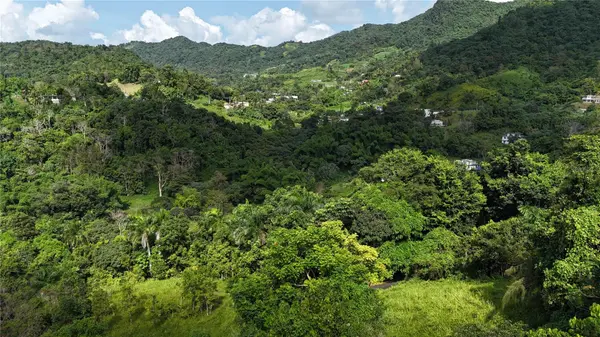 Km 8.0 Int. PR-765 BO. SAN SALVADOR,  Caguas,  PR 00725