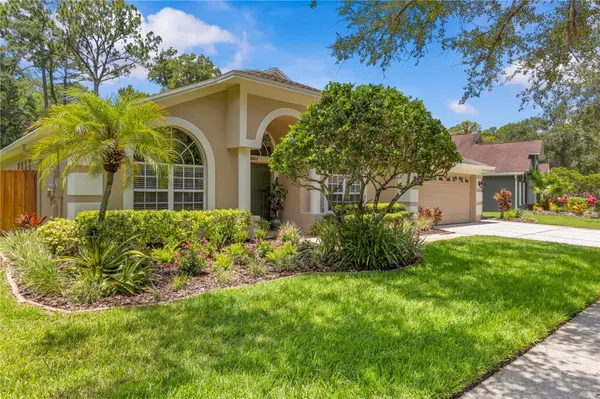10522 CHAMBERS DR, Tampa, FL 33626