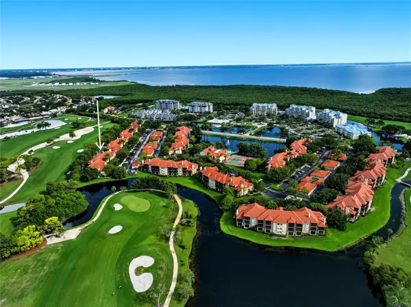 2400 FEATHER SOUND DR #427, Clearwater, FL 33762