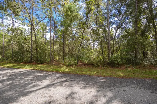 3210 E MICHAEL ST, Inverness, FL 34453