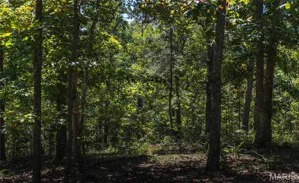 301 State Ridge, Annapolis, MO 63620