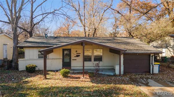 11039 Landseer DR, St Louis, MO 63136