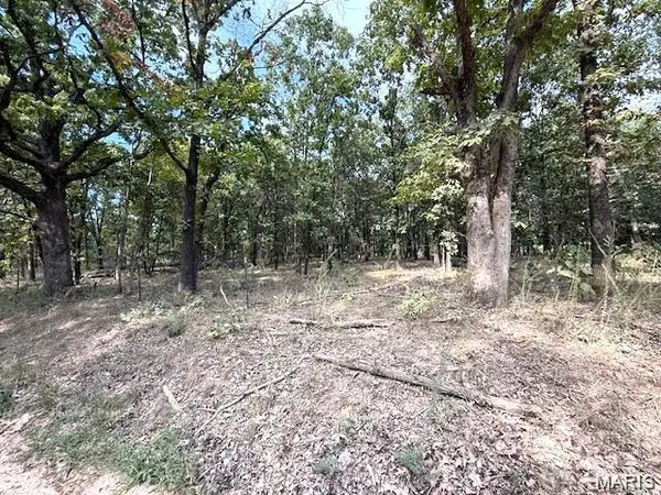 13025 Industry RD, Lebanon, MO 65536