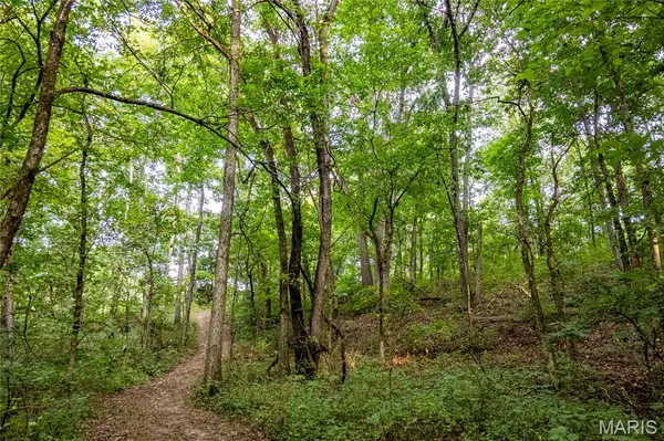 00 Pike 268 HWY, Eolia, MO 63344