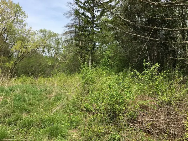 Lot 4 E Mundhank RD, South Barrington, IL 60010