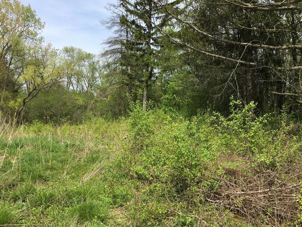 Lot 4 E Mundhank RD, South Barrington, IL 60010