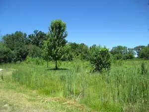 23787 W Reindeer TRL, Lake Villa, IL 60046