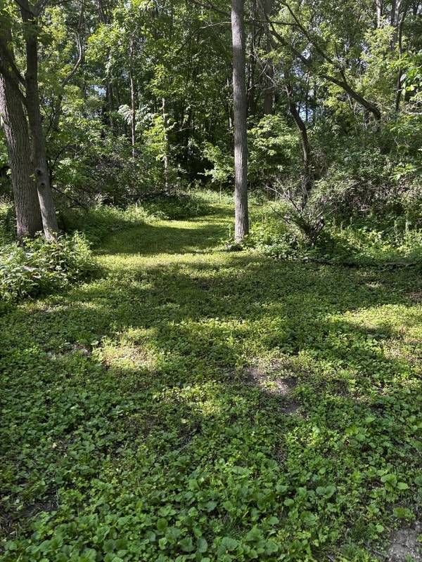 21177 N Valley RD, Kildeer, IL 60047