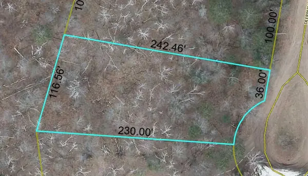 Lot 196 Deerpath PASS, Danbury, WI 54830