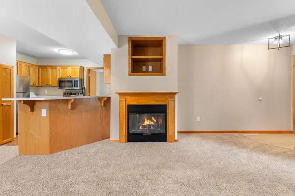 1585 Millpond CT, Chaska, MN 55318