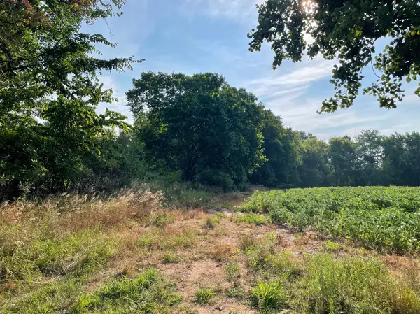 XXX 130th Avenue, Milaca, MN 56353