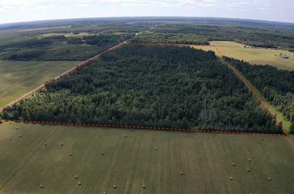 TBD Saralampi RD, Toivola, MN 55765