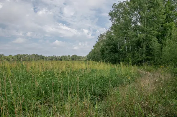 TBD County Road 11, Aitkin, MN 56431