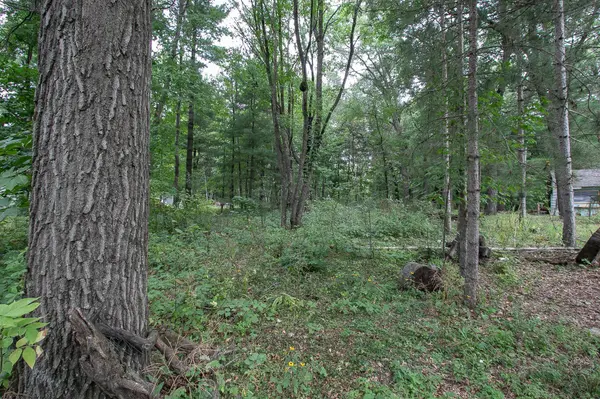 TBD 241st AVE NE, Stacy, MN 55079