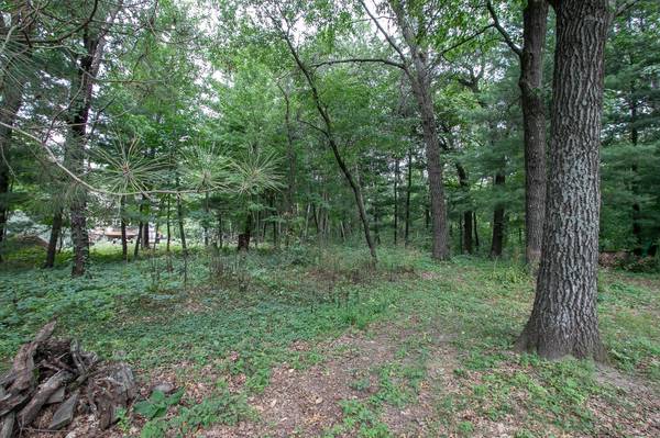 TBD 241st AVE NE, Stacy, MN 55079