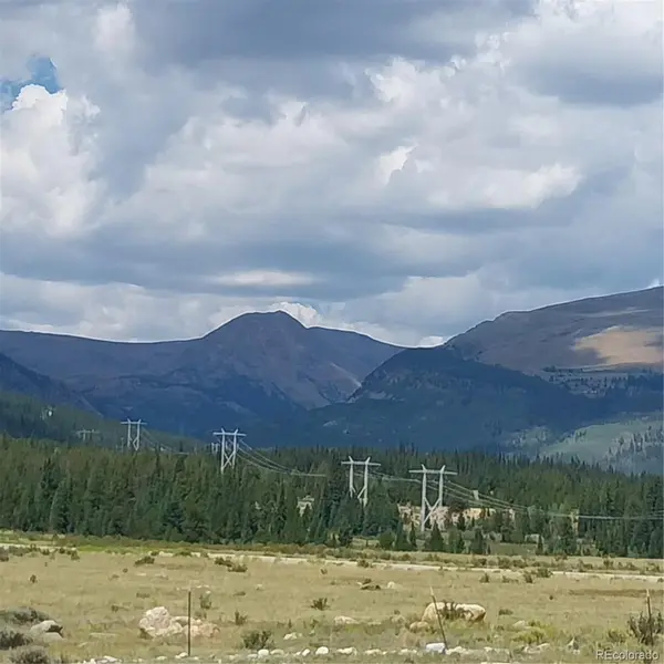 64 Glissade TRL, Alma, CO 80420