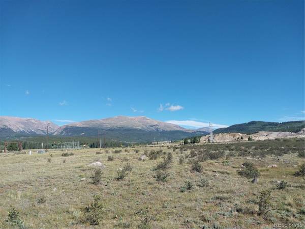 64 Glissade TRL, Alma, CO 80420