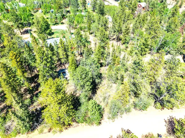 33 Smith ST, Bailey, CO 80421
