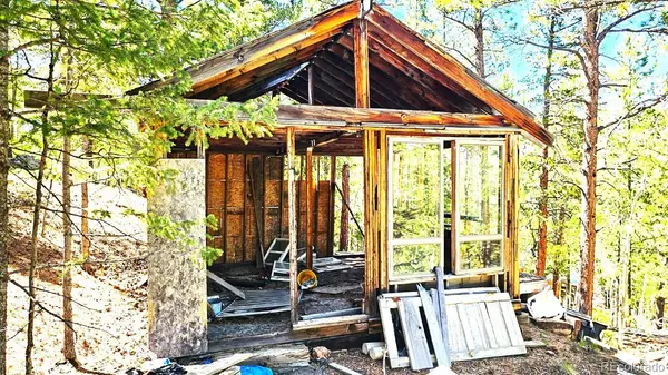 33 Smith ST, Bailey, CO 80421