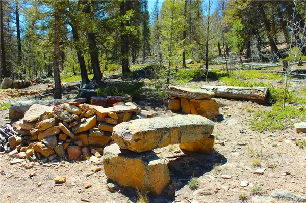 2882 Middle Fork VIS, Fairplay, CO 80440