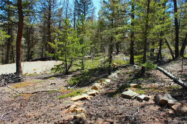 2882 Middle Fork VIS, Fairplay, CO 80440