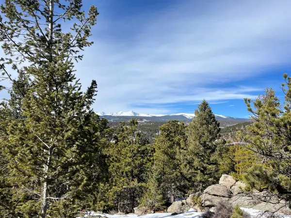 3153 Ridge RD, Nederland, CO 80466