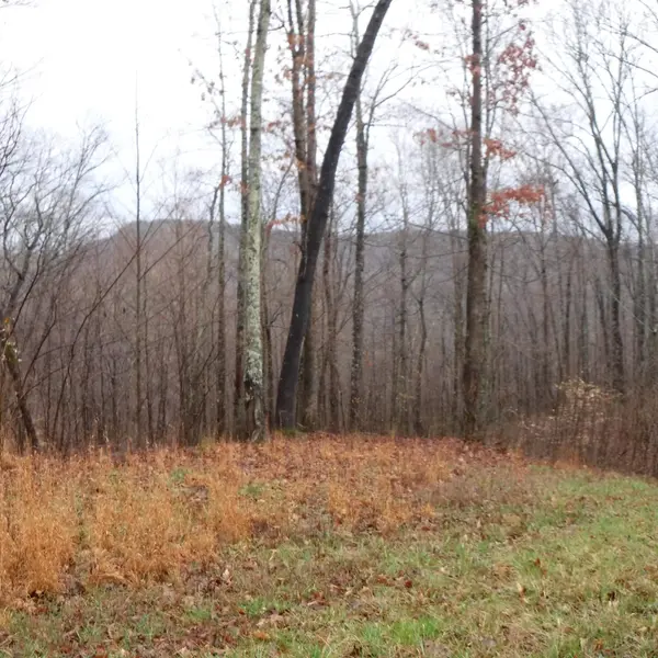0 Cheyenne Drive, Jamestown, TN 38556
