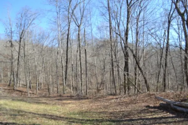0 Cheyenne Drive, Jamestown, TN 38556