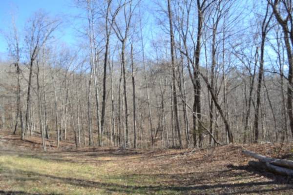 0 Cheyenne Drive, Jamestown, TN 38556