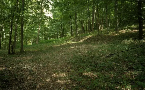 1754 Oakbrook Trail, Ooltewah, TN 37363