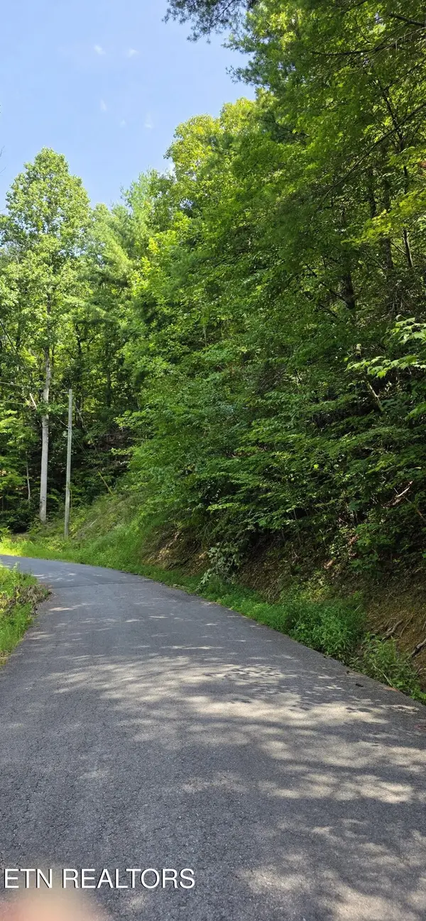 24 Sugar Maple Loop Rd, Sevierville, TN 37862