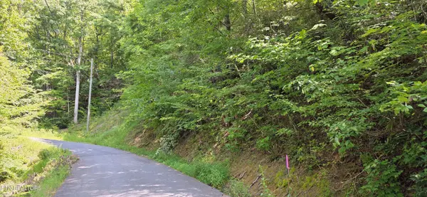 24 Sugar Maple Loop Rd, Sevierville, TN 37862