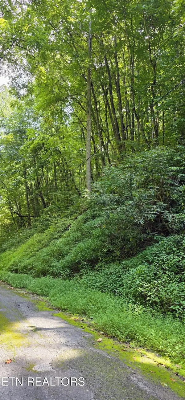 28 Black Walnut Flats Rd, Sevierville, TN 37862