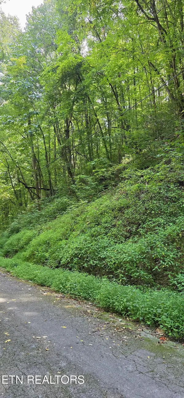 28 Black Walnut Flats Rd, Sevierville, TN 37862