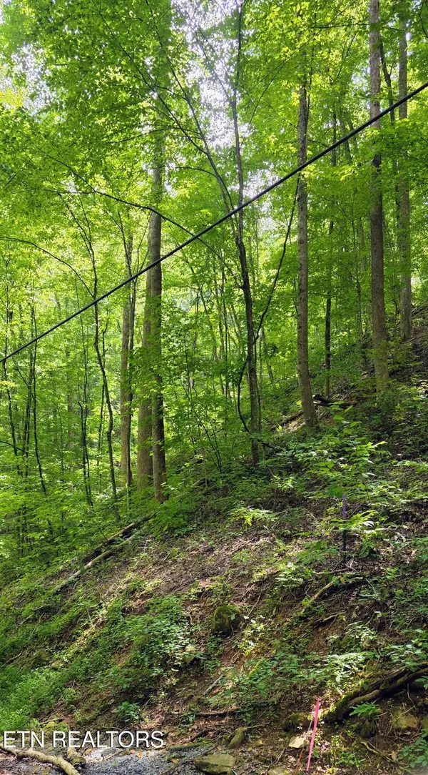 25 Black Walnut Flats Rd, Sevierville, TN 37862