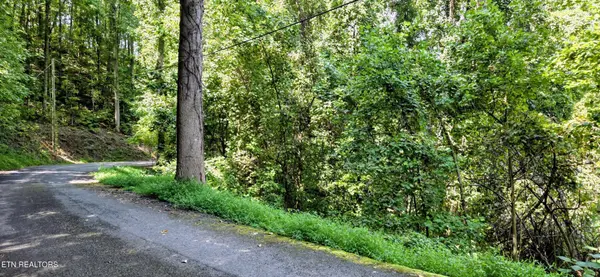 28 Sugar Maple Loop Rd, Sevierville, TN 37862