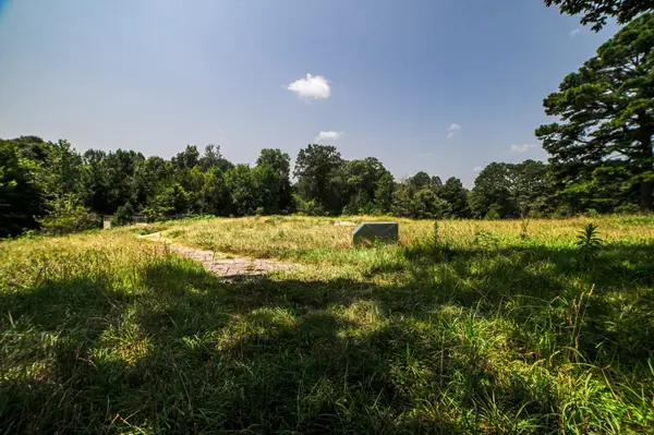 631 Jay Bird Ln, Palmersville, TN 38241