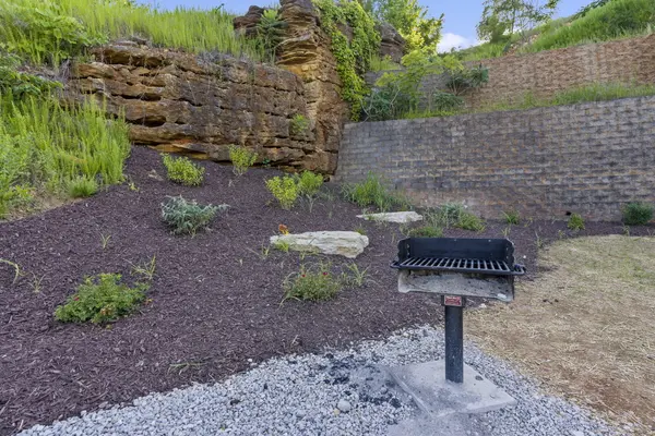 3009 N Vineyards Terrace #3 Branson, MO 65616